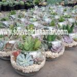 PicsArt_02-05-07.12.22